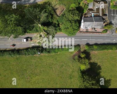 Hereford, Herefordshire, Regno Unito – venerdì 23 agosto 2024 – Regno Unito Meteo – Vista aerea dei droni – durante la notte i forti venti della tempesta Lilian hanno portato un albero lungo la strada A465 lungo Aylestone Hill, nella città di Hereford – l'albero è caduto su diverse linee elettriche tagliando energia alle case e alle aziende vicine – foto Steven May / Alamy Live News Foto Stock