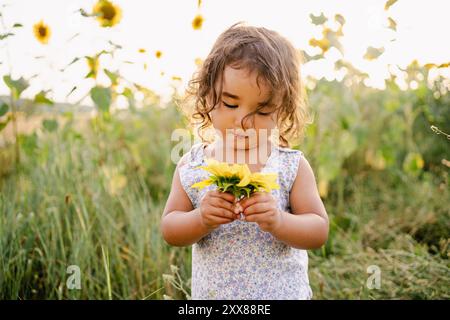 Primo piano ritratto di una bambina che tiene in mano un girasole giallo pieno fiore in un campo in campagna al tramonto con una luce calda. co Foto Stock