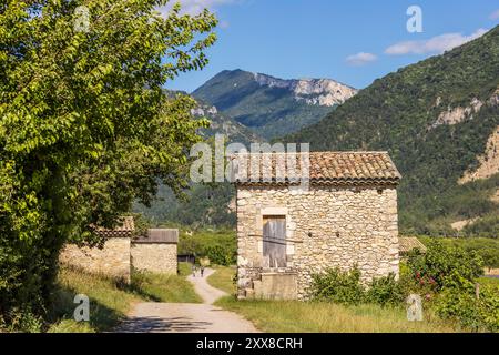 Francia, Drôme, Drôme provenzale, Châtillon-en-Diois, cabanon sulla Chemin des cabanons de vigne nel cuore dei vigneti utilizzati per la produzione di Clairette de die Foto Stock