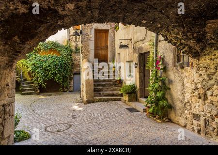 Francia, Drôme, Drôme provenzale, Châtillon-en-Diois, etichettato Les Plus Beaux Villages de France, a Châtillon le stradine del centro storico sono chiamate "viola" (origine provenzale, derivata dal latino via) Foto Stock