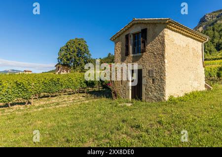 Francia, Drôme, Drôme provenzale, Châtillon-en-Diois, cabanon sulla Chemin des cabanons de vigne nel cuore dei vigneti utilizzati per la produzione di Clairette de die Foto Stock