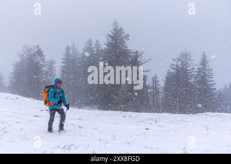 Francia, Ain, massiccio del Giura, Parco naturale regionale, escursione Crêt de la Goutte, escursione in discesa verso il rifugio Varambon Foto Stock