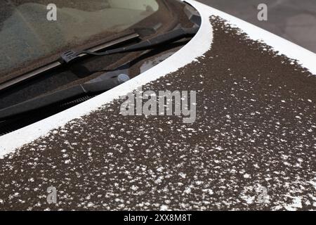 Auto vulcaniche che coprono polveri a Giarre, città metropolitana di Catania in Sicilia, Italia. Cenere vulcanica dell'Etna su un'auto. Foto Stock