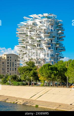 Francia, Herault, Montpellier, il quartiere Richter, le rive del Lez, l'edificio l'Arbre Blanc, progettato dall'architetto giapponese Sou Foujimoto con gli architetti francesi Nicolas Laisne e Manal Rachdi Foto Stock