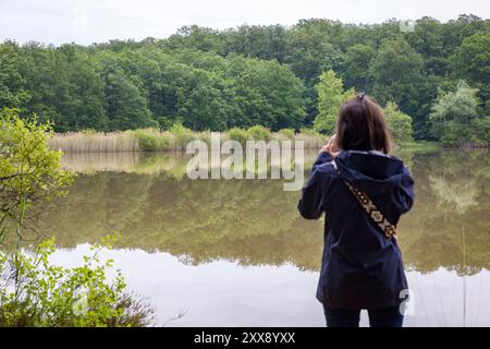 Francia, Indre-et-Loire, Sennevières, foresta nazionale di Loches, stagno Pas-aux-âne Foto Stock