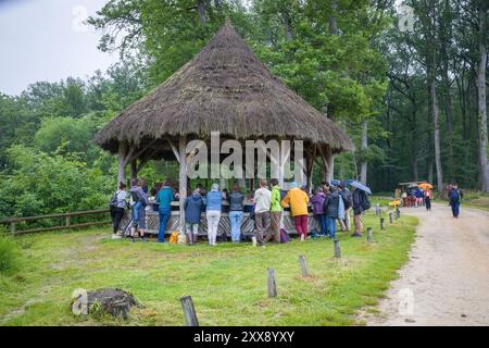 Francia, Indre-et-Loire, Sennevières, foresta nazionale di Loches, stagno Pas-aux-ânes, festival dedicato alla foresta e allo sviluppo sostenibile Foto Stock