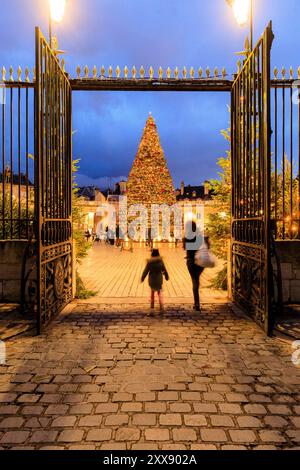 Francia, Cote d'Or, Digione, Place de la Liberation, decorazione natalizia di Blachere Illumination, abete Foto Stock