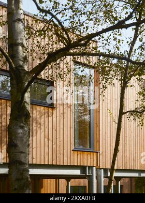 Vista dettagliata attraverso gli alberi del rivestimento in legno e della finestra in alluminio dell'altezza ovest della casa. Serenity - Scawby Brook, Scawby Brook, Re Unito Foto Stock