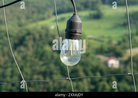 La lampadina da giardino offre un'illuminazione efficiente e un'atmosfera accogliente. Grazie alla tecnologia LED, garantisce un risparmio energetico e una lunga durata. led Foto Stock