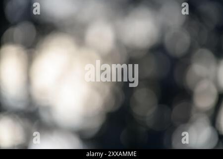 Questa immagine presenta uno sfondo bokeh monocromatico con vari motivi circolari. Il design astratto crea uno scen visivamente accattivante e uniforme Foto Stock
