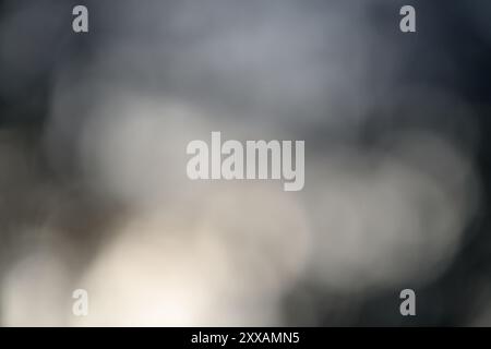 Questa immagine presenta uno sfondo bokeh monocromatico con vari motivi circolari. Il design astratto crea uno scen visivamente accattivante e uniforme Foto Stock