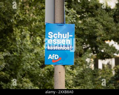 Poster della campagna elettorale dell'AFD con lo slogan "Schulessen kostenlos!" (Pasti scolastici gratuiti) nella Germania dell'Est per il Landtagswahl (elezioni statali). Foto Stock