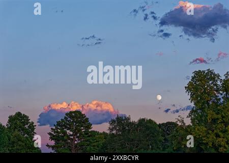 Luna piena luminosa che appare dopo una tempesta di pioggia con nuvole evidenziate dal sole che tramonta all'ora blu dietro gli alberi in estate Foto Stock