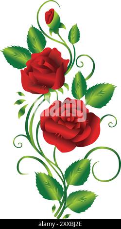 immagine del design vettoriale della carta di fiori di rosa bouquet su sfondo bianco Illustrazione Vettoriale