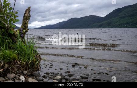 Loch Ness: Mostro Mythos vom. - Blick vom Südostufer bei foyers auf den schmalen, aber 36 km langen Loch Ness in den schottischen Highlands. Der Myth Foto Stock