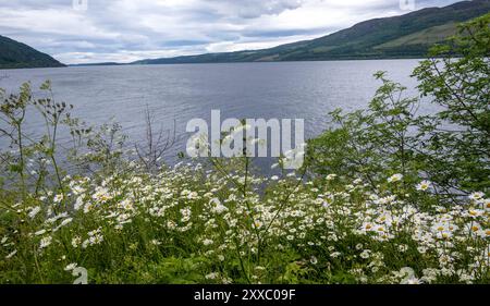 Loch Ness: Mostro Mythos vom. - Blick vom Südostufer bei foyers auf den schmalen, aber 36 km langen Loch Ness in den schottischen Highlands. Der Myth Foto Stock