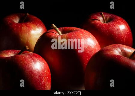 Mele rosse su sfondo nero Foto Stock