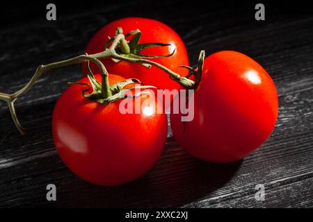 ramo di pomodoro su sfondo di legno nero Foto Stock