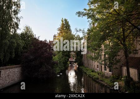 Via d'acqua tranquilla a Bruges medievale - Belgio Foto Stock