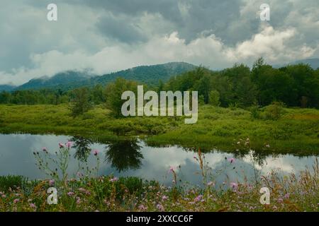 Lago Lewey in un temposo pomeriggio estivo sulle Adirondack Mountains, New York Foto Stock
