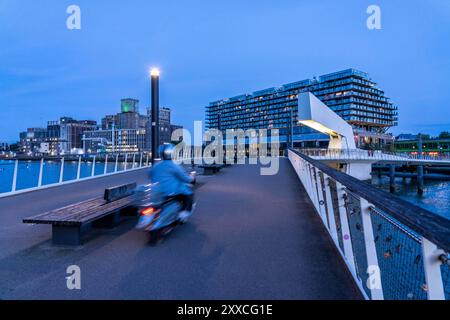 DAS ehemalige Fenix Lagerhaus, Links, von 1923, im Krieg zerstört, 2019 renoviert, umgebaut zu einem Wohn- und Geschäftshaus, mit Hotel, Wohnungen, gastronomia, Büros, Lagerhäuser, Am Rijnhaven Hafenbecken, Rijnhavenbrug, Brücke, Rotterdam, NIEDERLANDE, Rijnhaven Rotterdam *** l'ex magazzino Fenix, lasciato, dal 1923, distrutto durante la guerra, rinnovato nel 2019, trasformato in un edificio residenziale e commerciale, con hotel, appartamenti, ristoranti, uffici, magazzini, presso il bacino del porto di Rijnhaven, Rijnhavenbrug, bridge, Rotterdam, Paesi Bassi, Rijnhaven Rotterdam Foto Stock