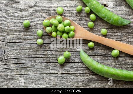 Piselli verdi freschi con baccello su fondo di legno, verdure verdi o legumi sani ( pisum sativum ) Foto Stock