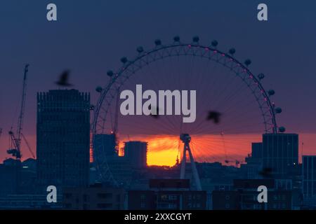 Londra, Regno Unito. 23 agosto 2024. Meteo nel Regno Unito: Gli uccelli attraversano il paesaggio della città durante un drammatico tramonto serale dietro la ruota panoramica del London Eye, vista dalla cima del Greenwich Park. L’ultimo tramonto dell’anno alle 20 di Londra si svolgerà questa settimana. Crediti: Guy Corbishley/Alamy Live News Foto Stock