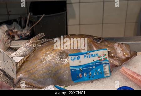 Il pesce più delizioso John Dory, St Pierre o Peter's, pesce del giorno al mercato del pesce, Paesi Baschi, Francia, primo piano Foto Stock