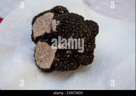 Fiera invernale del tartufo a Sarlat-le-Caneda, Perigord Noir, Dordogne, un enorme tartufo nero invernale, gustoso e aromatico fungo costoso Foto Stock