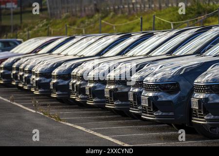 Lunga fila di auto nere pronte per la consegna presso una concessionaria di auto Foto Stock