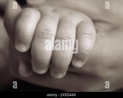 Primo piano di un bambino di sei mesi in mano agli adulti Foto Stock