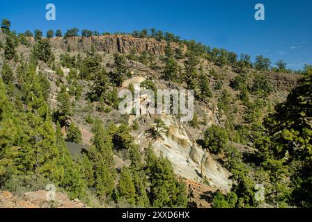 Coni di tufo nel paesaggio lunare di Paisaje, Parque Natural de la Corona Forestal, Tenerife, Isole Canarie Foto Stock