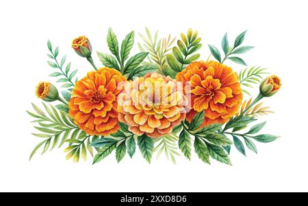 Watercolor Marigold floral design on white background vector illustration clipart Stock Vector