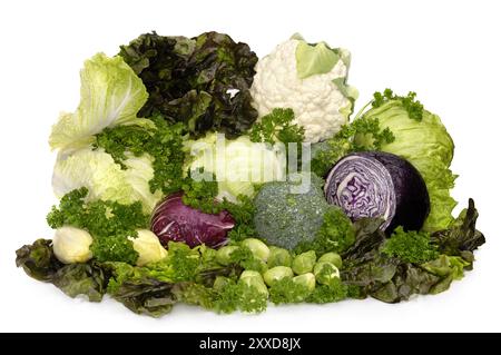 Natura morta alimentare con tutti i tipi di verdure fresche e succose cavolfiore, broccoli, cavolo verde, cavolo rosso, lattuga testa, lattuga a foglia rossa Foto Stock