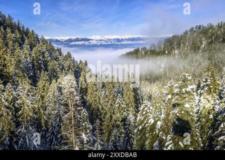 Sfondo invernale per le vacanze in montagna con vista aerea di pini ricoperti di neve Foto Stock