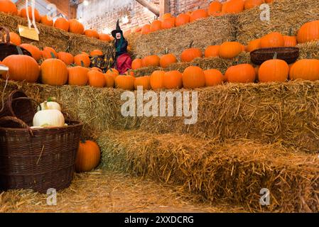 Negozio agricolo con offerte di zucche, Hagenburg, bassa Sassonia Foto Stock