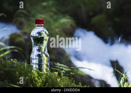 Plastica trasparente Una bottiglia di acqua pulita con coperchio rosso si trova nell'erba e nel muschio sullo sfondo di un aspro fiume di montagna. Il concetto di p Foto Stock