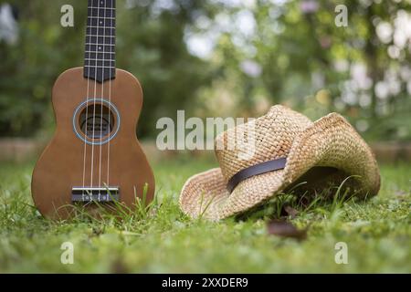 Ukulele e cappello di paglia che giacciono nell'erba verde, area parco sfocata sullo sfondo Foto Stock