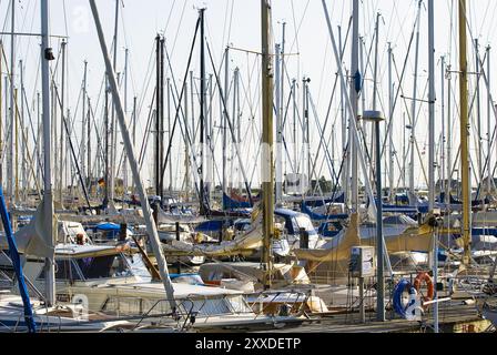 Groviglio di alberi in un porto di navigazione Foto Stock