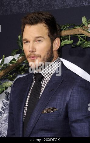 Chris Pratt alla prima di Los Angeles del "Jurassic World" tenutasi al Dolby Theatre di Hollywood, USA, il 9 giugno 2015. Credito: Lumeimages.com Foto Stock