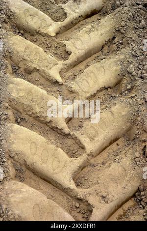 Tracce di pneumatici in un campo di asparagi Foto Stock