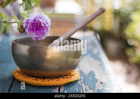 Metallo Singing Bowl su un rustico verde, tavolo in legno all'esterno. Fiori nel colorato sfondo sfocato Foto Stock