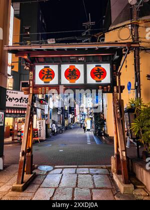 Tempio Hozenji di notte a Osaka, Giappone Foto Stock