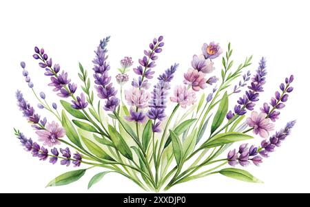 Watercolor Lavender floral design on white background vector illustration clipart Stock Vector