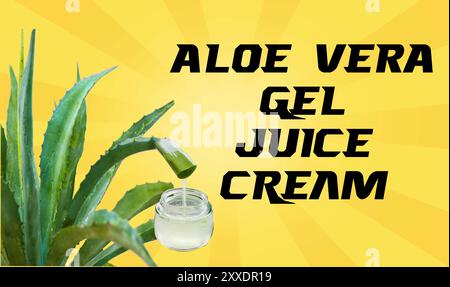 Liquidi gel di aloe vera Illustrazione Vettoriale