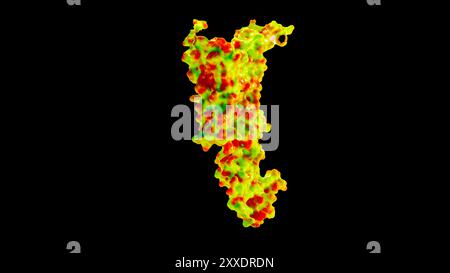 Molecola del peptide 1 simile al glucagone (GLP1, 7-36) il recettore del peptide 1 simile al glucagone ha un forte effetto sulla gestione del diabete mellito di tipo 2. Foto Stock