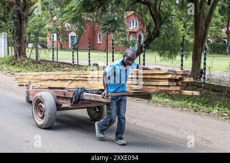 Uomo che trasporta tavole di legno su un carro, Arusha, Tanzania Foto Stock