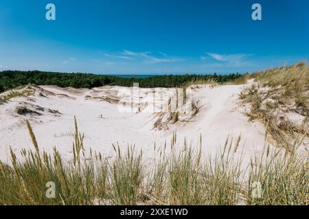 Dune sul Mar Baltico. Erba in primo piano. Foresta e mare in lontananza. Lubiatowo, Polonia Foto Stock
