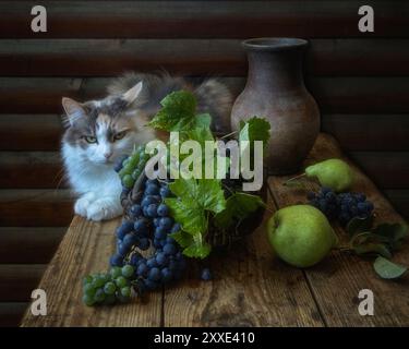 Natura morta con cesto d'uva e curioso gattino Foto Stock