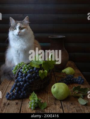 Natura morta con cesto d'uva e curioso gattino Foto Stock